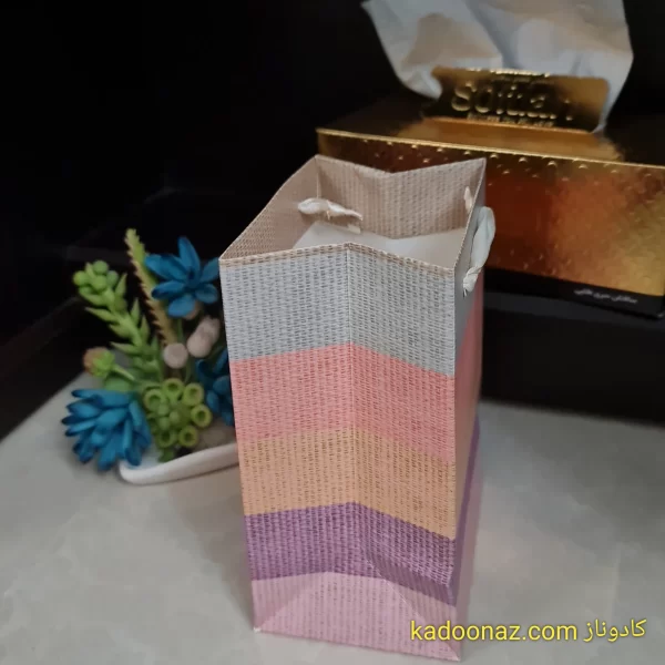 بگ رنگین‌نخ